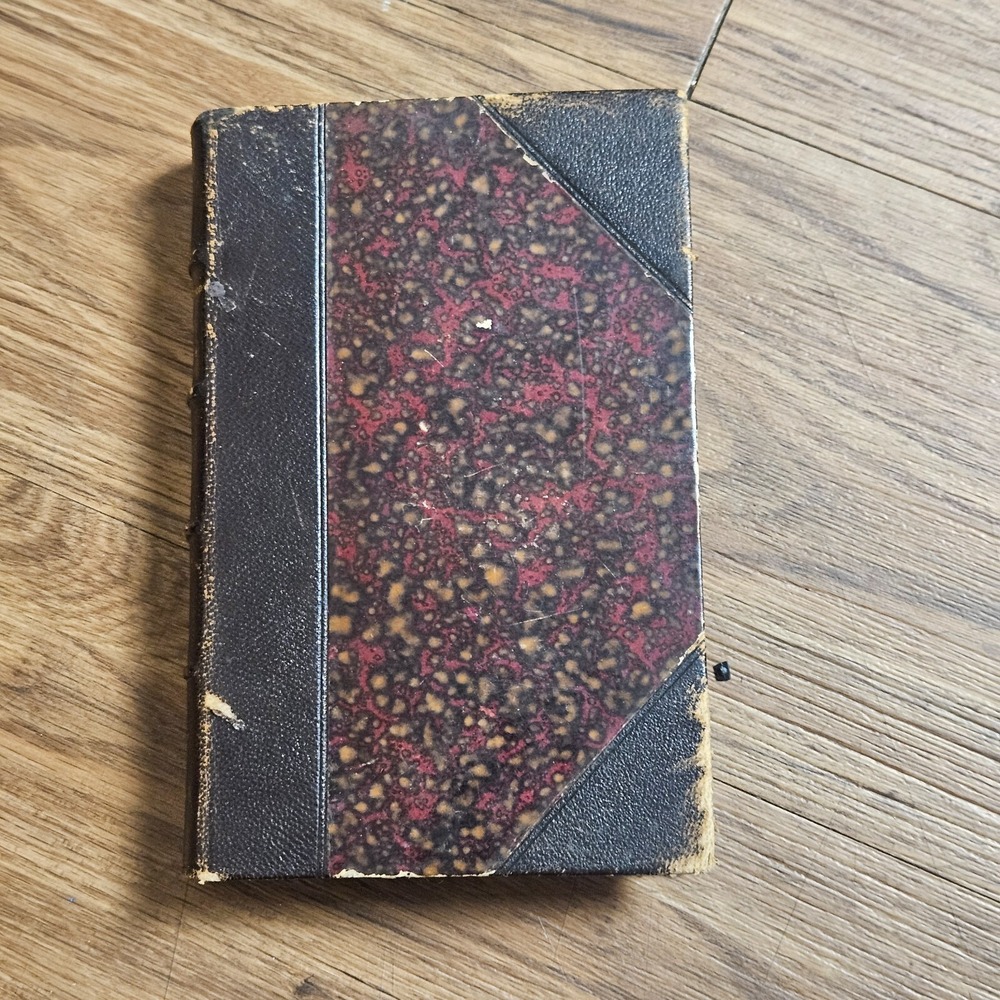 Antique 1800s Madame Therese Erckmann-Chatrian Historical Novel French HB